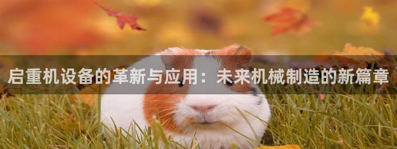 辉达娱乐最新现状：启重机设备的革新与应用：未来机械制造的新篇