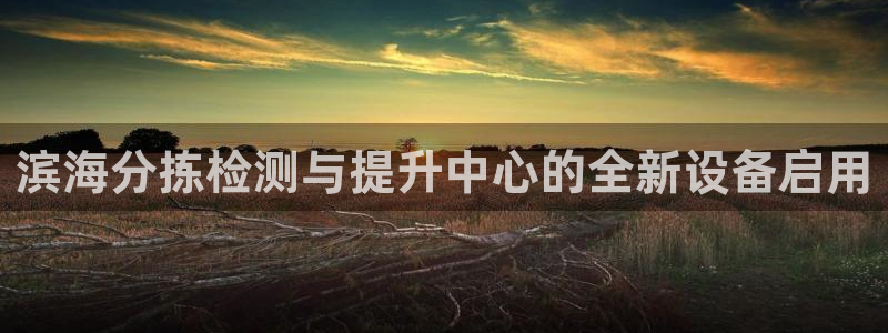 辉达平台娱乐怎么样